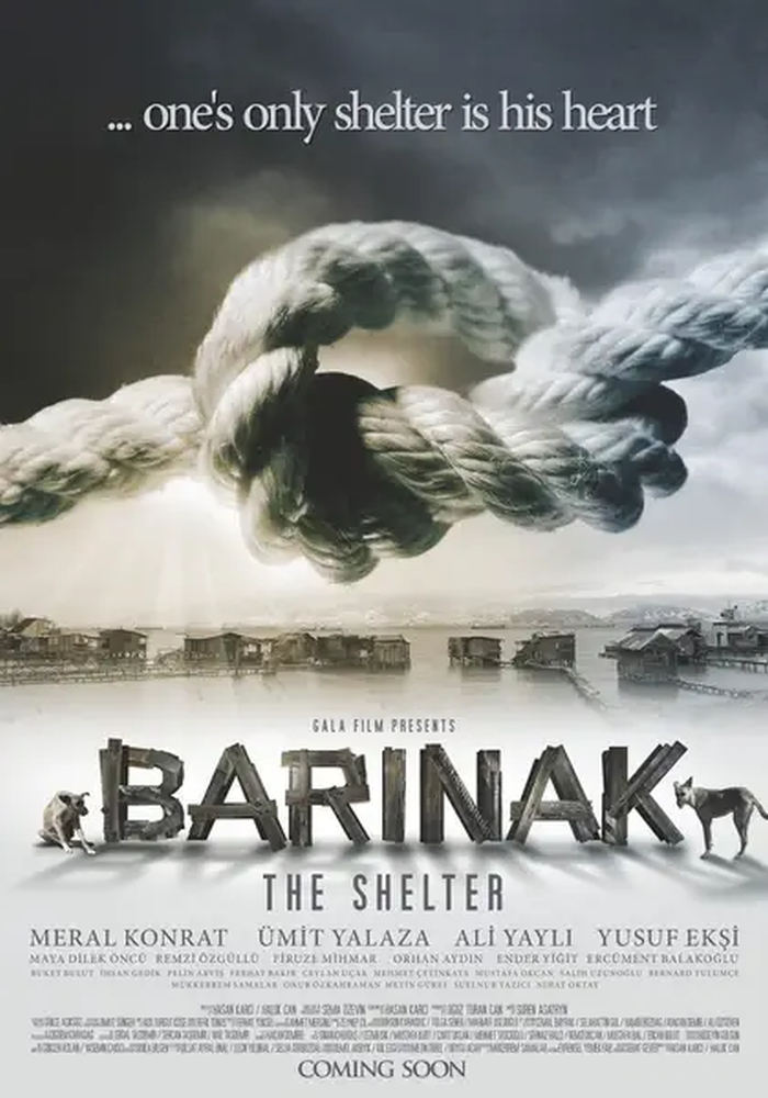THE SHELTER