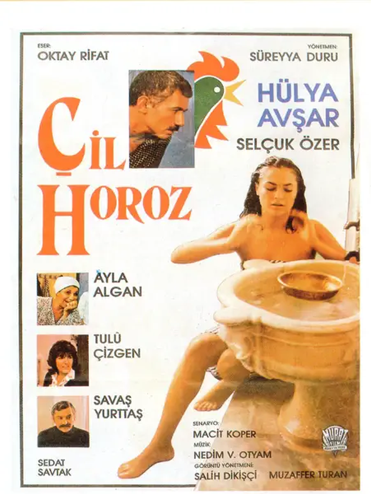CIL HOROZ