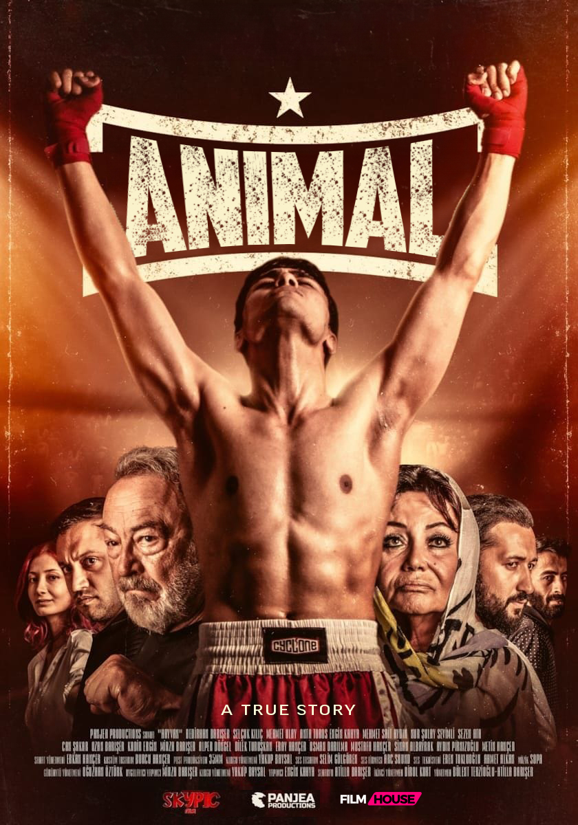 animal.jpg