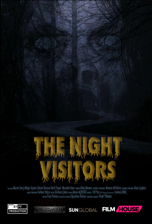 THE NIGHT VISITORS